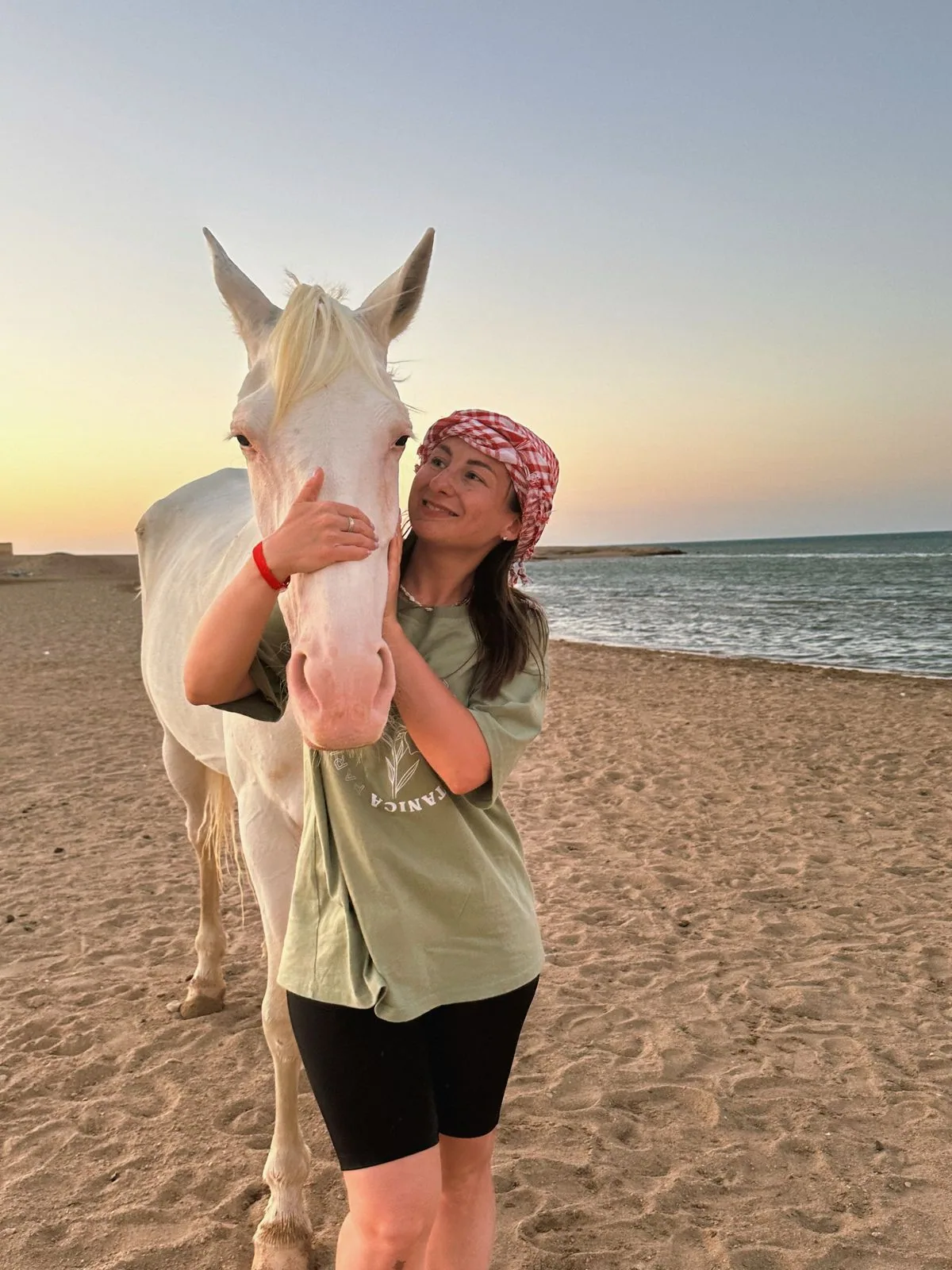 Photoshoot with a white Arabian horse in Hurghada