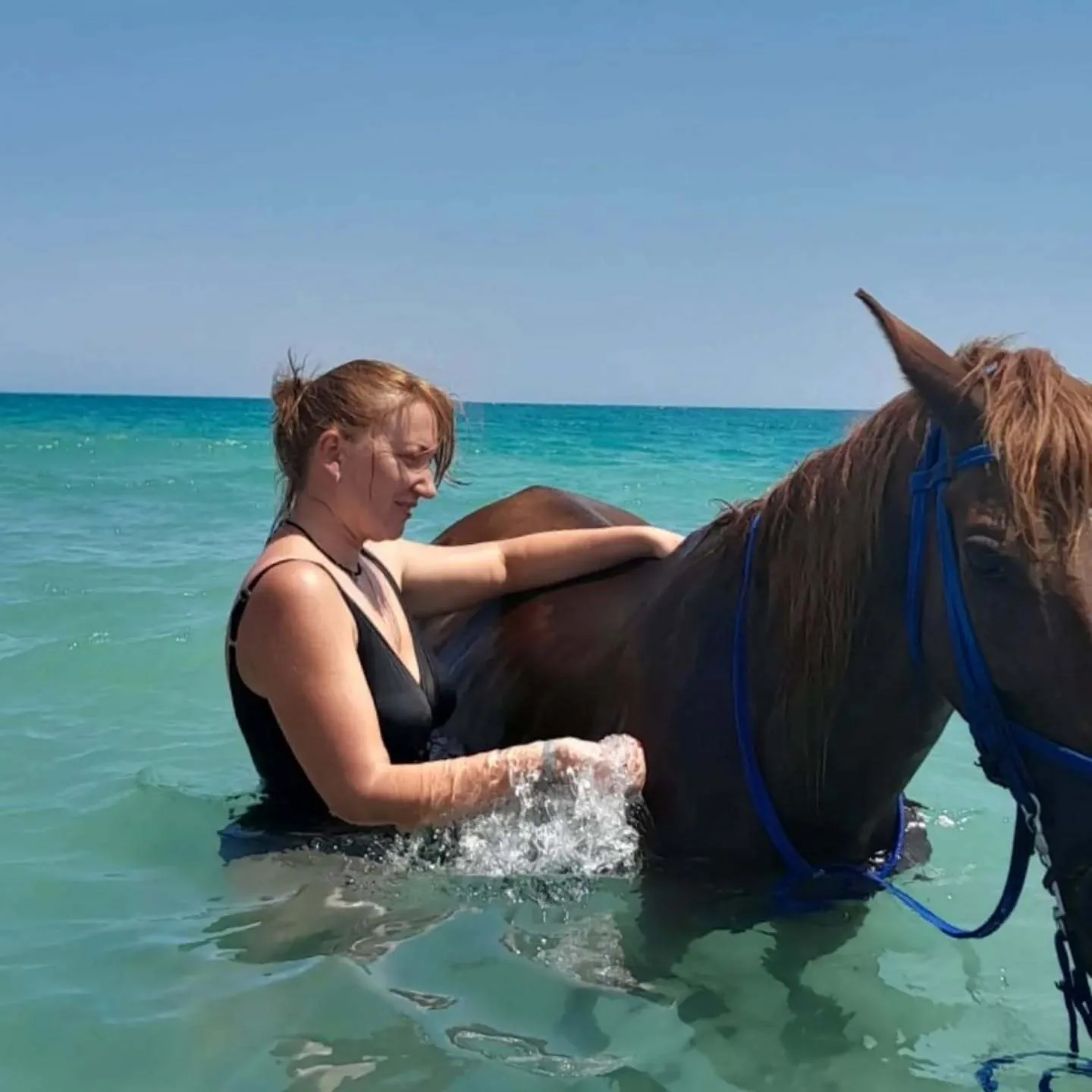 Guest swimming beside an Arabian horse in the Red Sea